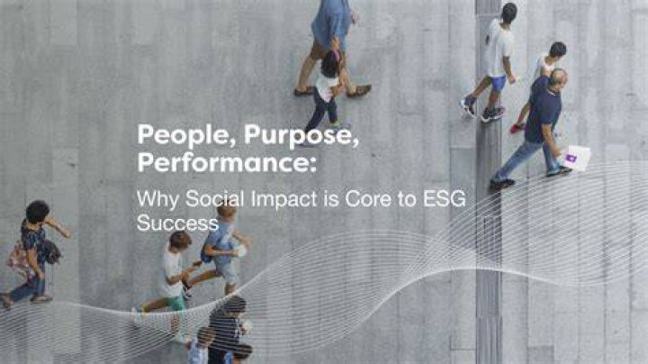 Discover Their Success And Impact