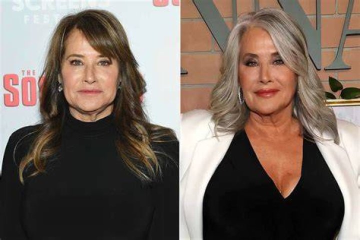 Lorraine Bracco bio age, net worth, spouse, movies and TV shows Legit.ng