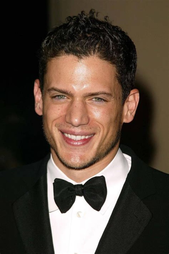 Who is Wentworth Miller's partner Luke MacFarlane? The US Sun